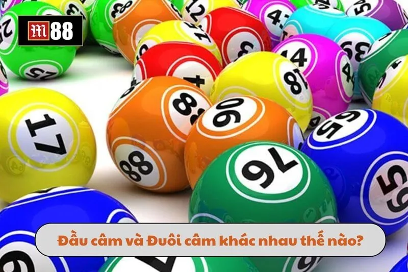 Sự khác nhau giữa đầu câm và đuôi câm trong loại hình soi cầu lô câm