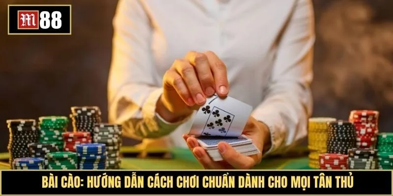 Bài Cào là gì? Luật lệ cơ bản và kinh nghiệm dễ dàng chiến thắng