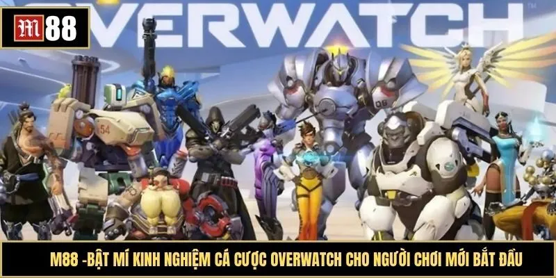 Bật mí kinh nghiệm cá cược overwatch cho người chơi mới bắt đầu