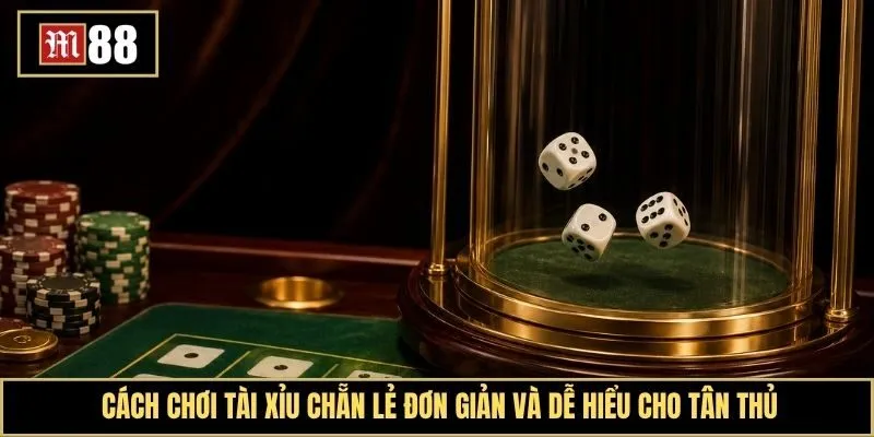 Cách chơi tài xỉu chẵn lẻ chuẩn chỉnh dành cho người chơi mới