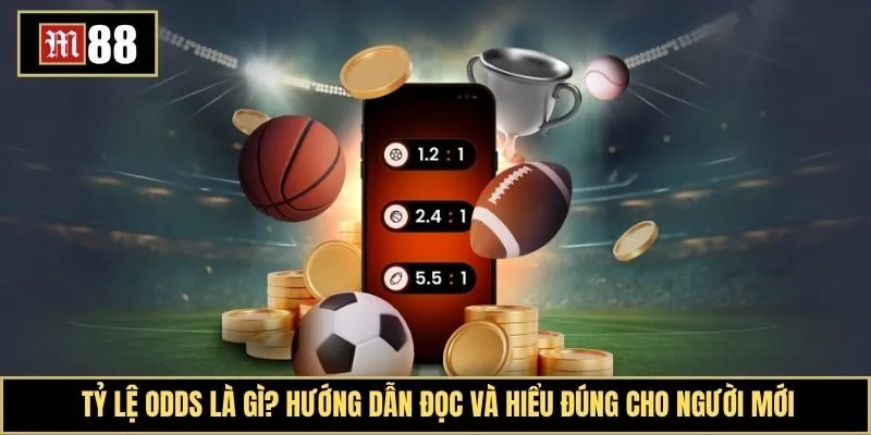 Tỷ lệ odds là gì? Hướng dẫn đọc và hiểu đúng cho người mới bắt đầu